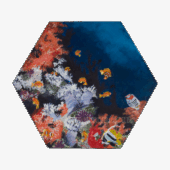 Coral Reef Fish box