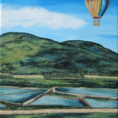 Hot Air Balloon