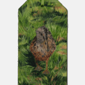 Duck tag