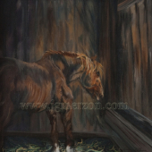 Horse Study